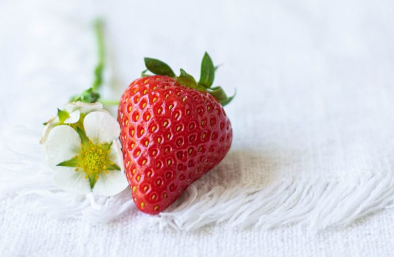 Co składa się na Warstwę Domeny?