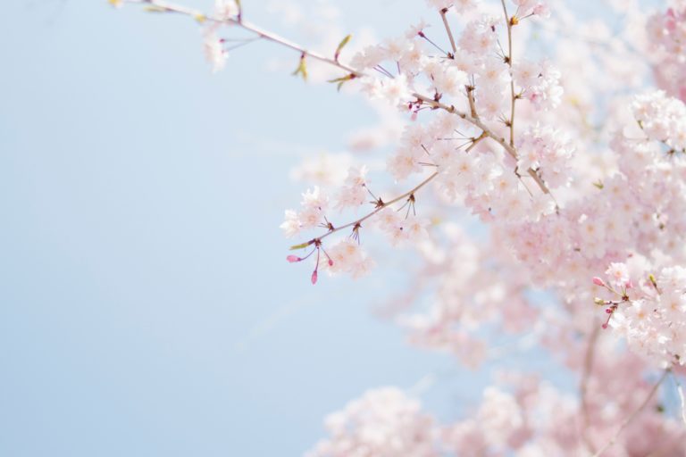 Wzorce projektowe przyjazne Open-Close Principle cz.2